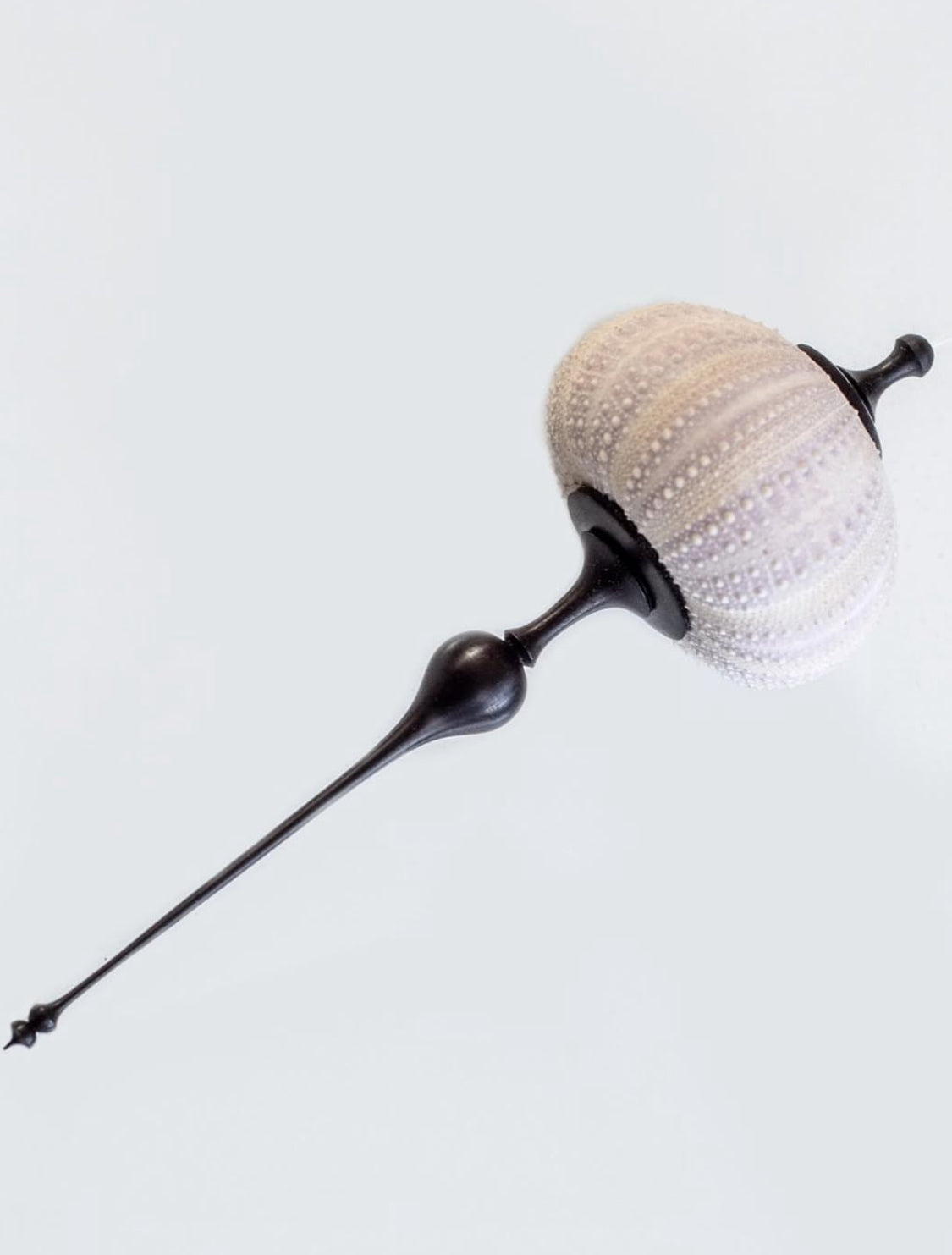 Wood Turning Seminar & Demo with Ashley Harwood : 4 April 2026