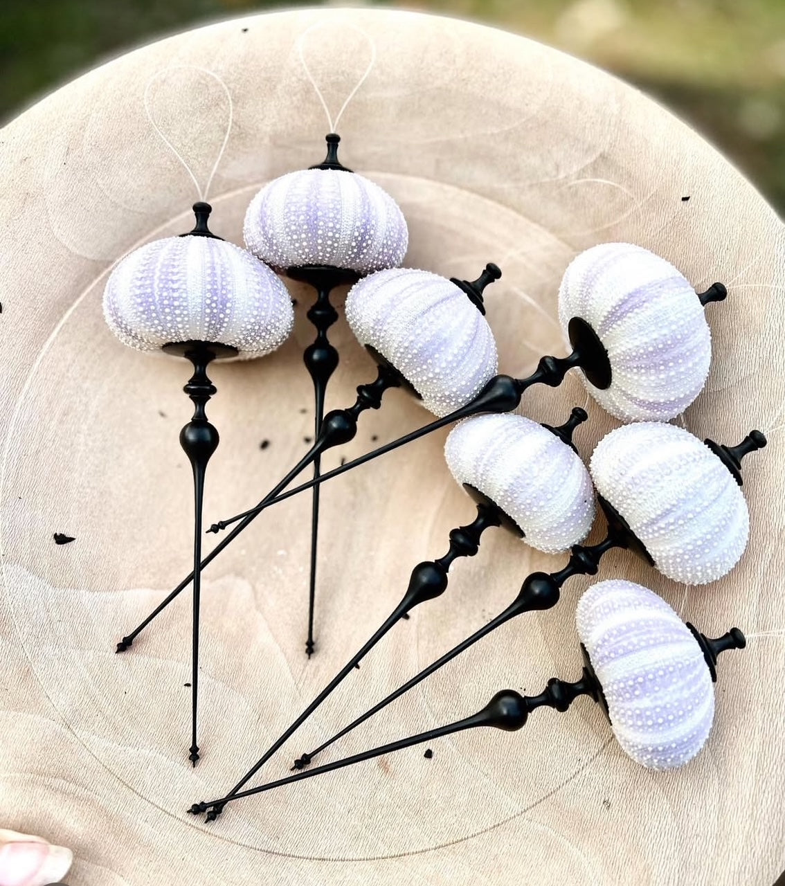 Wood Turning Seminar & Demo with Ashley Harwood : 4 April 2026