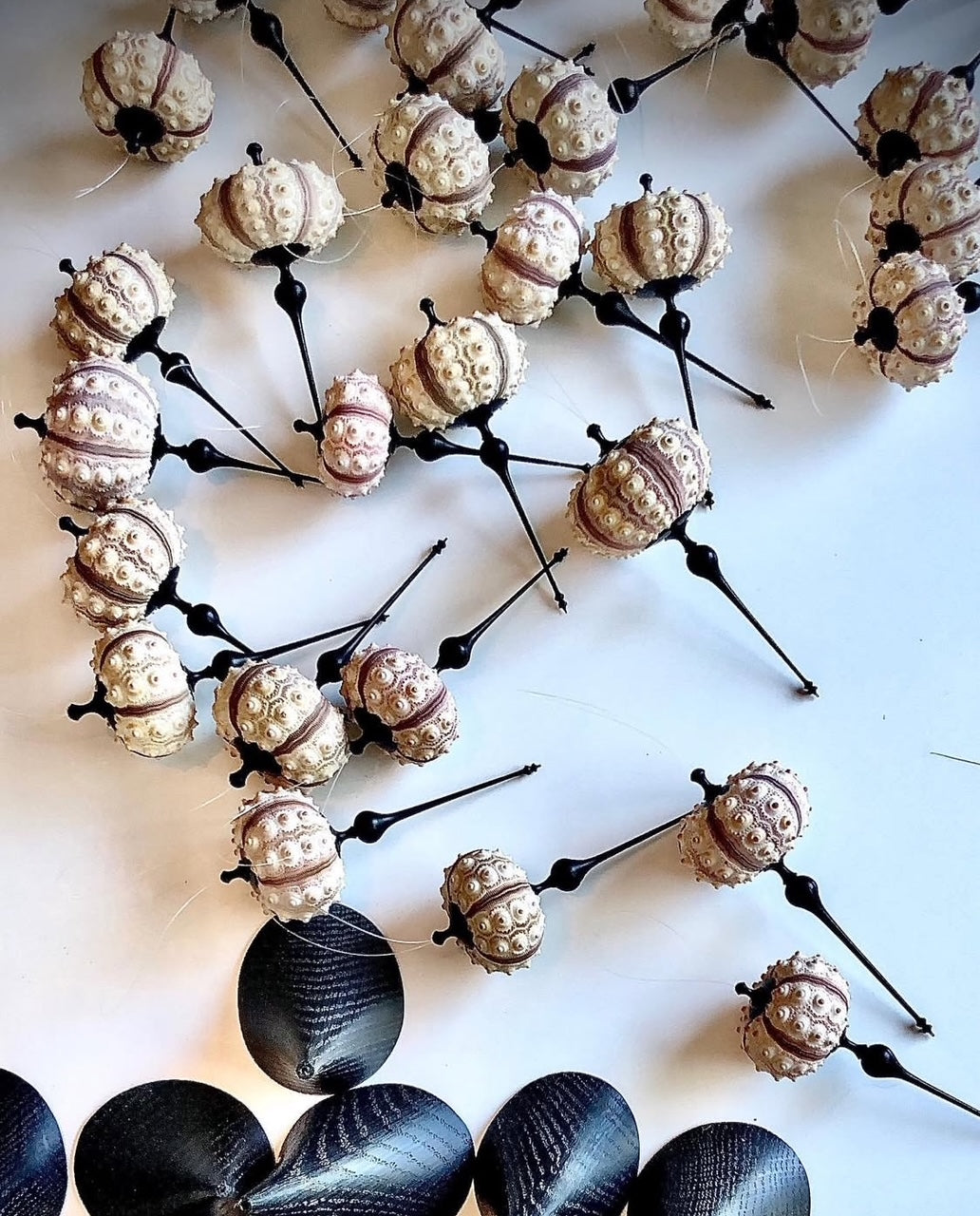 Wood Turning Seminar & Demo with Ashley Harwood : 4 April 2026